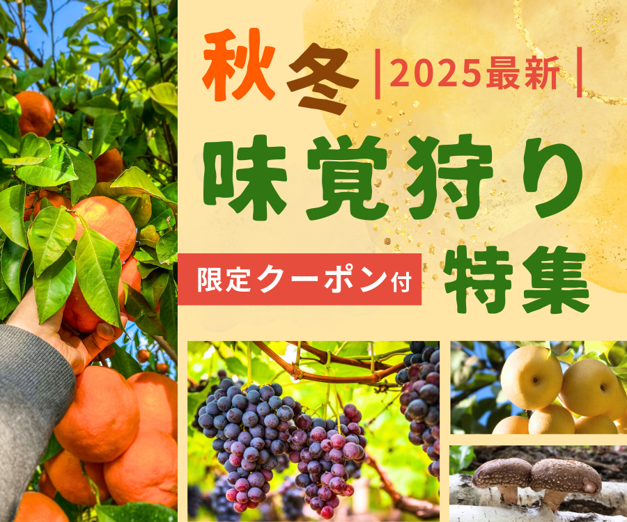 【徳島おでかけ】秋冬の味覚狩り・おすすめ6選/ぶどう狩り/梨狩り/みかん狩り/きのこ狩り|レジャー|体験|2025最新